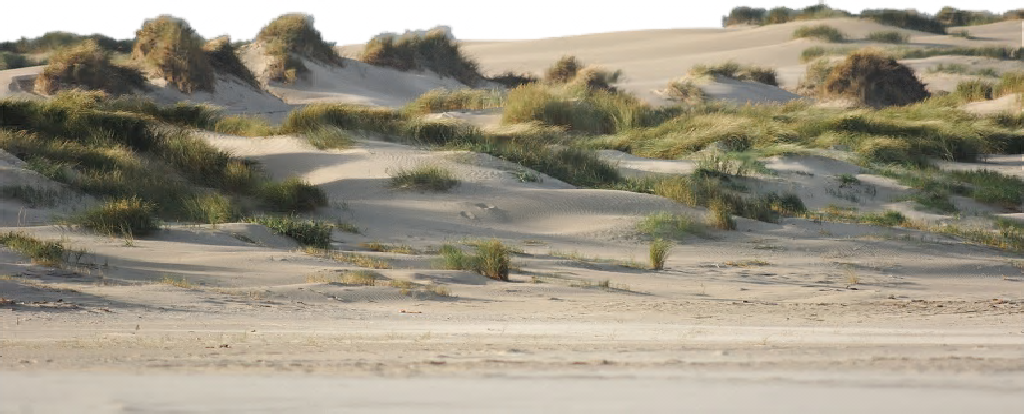 wellness weekend in een strandhuisje